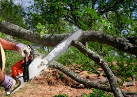 Best Soil Testing and Treatment  in West Puente Valley, CA